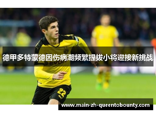 德甲多特蒙德因伤病潮频繁提拔小将迎接新挑战